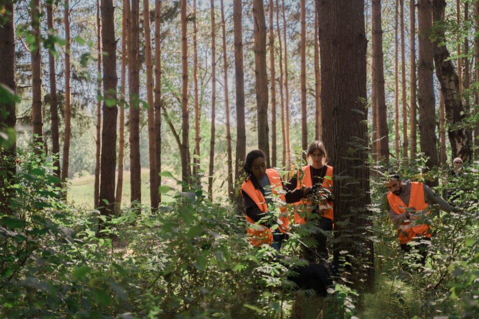 Community Speedwatch Volunteer Requirements: A Practical UK Guide - ilustracja artykulu