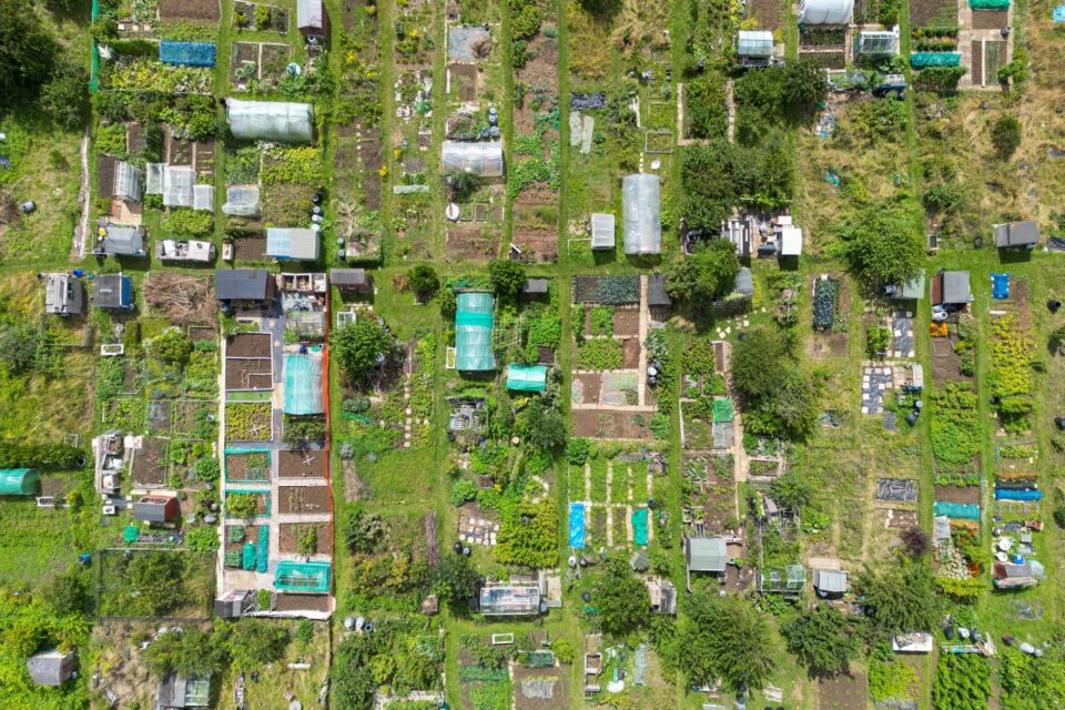 Allotment Waiting List Explained UK: Real Wait Times, Costs and How to Move Up - ilustracja artykulu