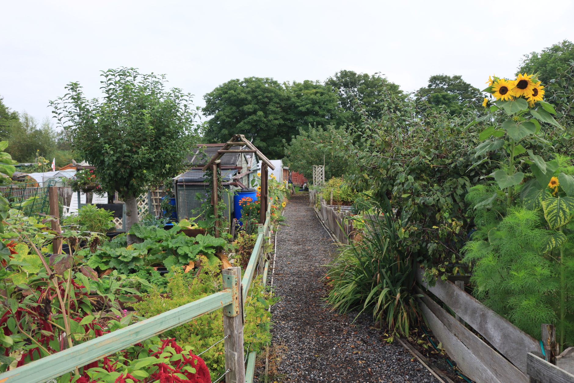 Allotment Waiting List Explained UK: Real Wait Times, Costs and How to Move Up - zdjecie w tresci