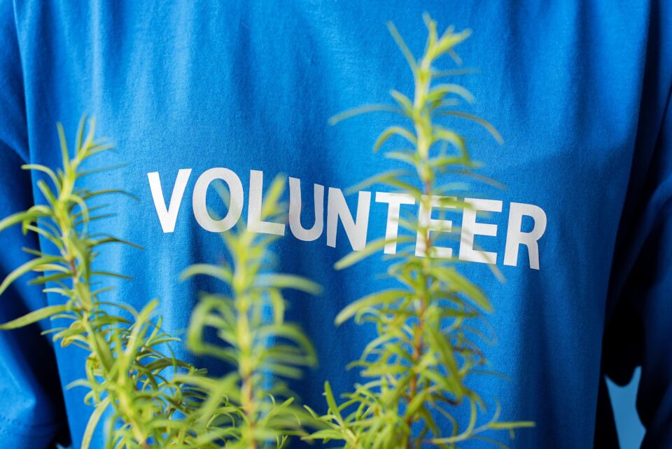 Crowdfunding for Community Projects UK: The Practical Playbook - ilustracja artykulu