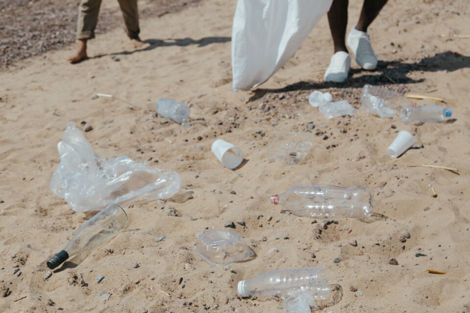 Beach Clean Volunteering UK: How to Join, Organise and Sustain a Coastal Litter Pick - ilustracja artykulu